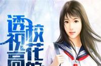 校花的透视高手秦寿免费全文阅读