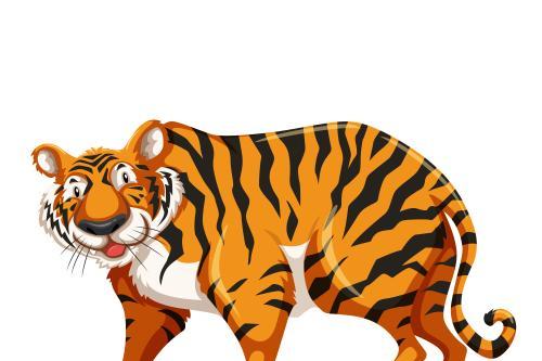 老虎从来不吹牛的故事