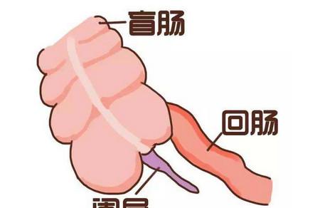 腹痛患儿出现哪些情况时需警惕？该如何处理？