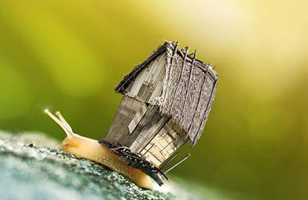 辅食料理好帮手!和光堂婴儿面条系列新上市!