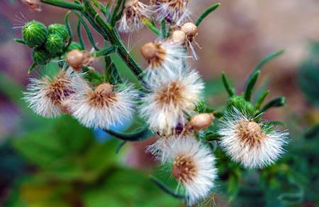 橙子怎么做菜吃 这些美味让人打开味蕾的新世界