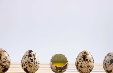 新生儿吃母乳一天拉几次正常，几次不正常？