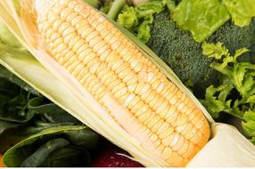 哈密瓜做菜怎么做好吃 精致菜肴让人眼前一亮