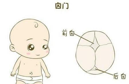 什么是囟门？怎么样护理宝宝囟门？