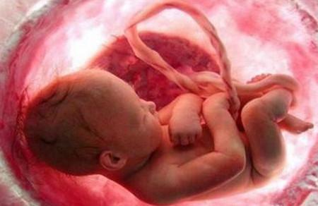 胎儿要多大才算发育正常？有哪些因素决定了胎儿的大小？