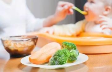 趁早锻炼宝宝的咀嚼能力，还可以提高宝宝的智商！