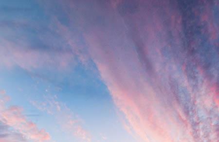 咸蛋黄可以做什么菜 鲜香诱人的菜肴新手也能做