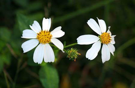 孩子多大适合分床睡 孩子几岁分床睡最合适