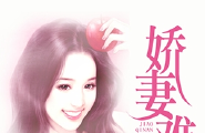 娇妻难觅：腹黑总裁霸宠错免费全文阅读