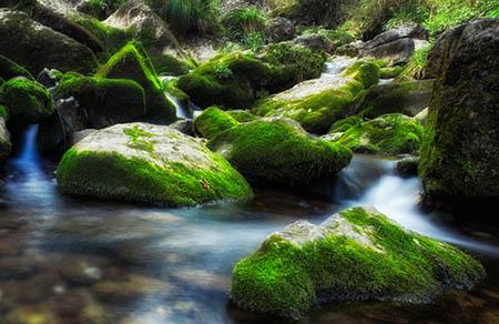 当归和什么煲汤好 超适合秋冬补气补血的滋补养生汤