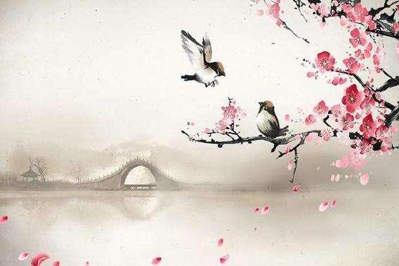 关雎原文带拼音标准版