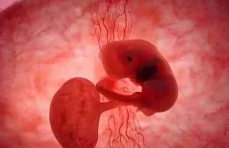 胎儿在妈妈的肚子里除了睡觉还会做什么？