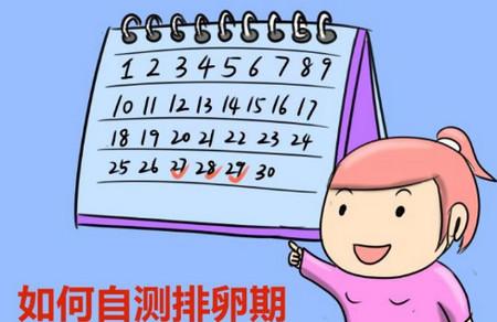 如何准确知道自己的排卵期？分享测试排卵期的方法