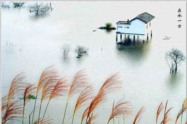 诗经蒹葭原文带拼音