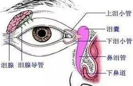 哪些情况可以导致宝宝流泪？父母怎样鉴别？