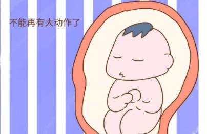 胎宝宝在孕妈腹中都做些什么？小家伙在肚里可活泼了！