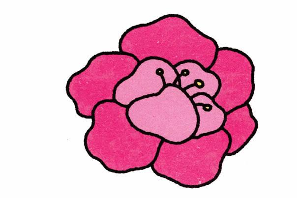 牡丹花简笔画步骤图解