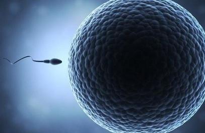 一直备孕未果，是该查查男性精子质量是否达标？