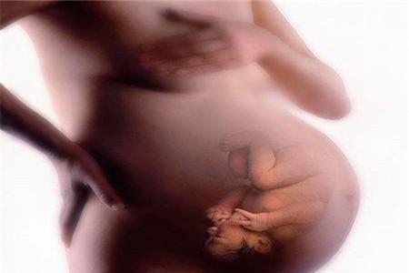 脐带扭转胎儿还会发育吗 胎儿脐带要护好