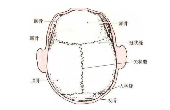 宝宝囟门异常情况是怎么回事 七种异常情况原因分析