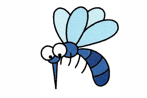 蚊子简笔画步骤