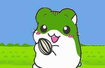 小鼹鼠：在一起的故事