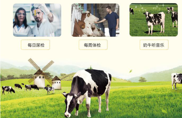 美初儿奶粉璀璨上市，三大保障助力新品腾飞