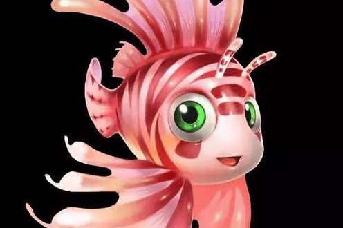 珊瑚学堂的故事