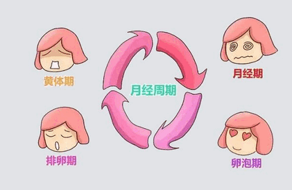 最全的排卵期時(shí)間計(jì)算方法！記得收好了！