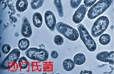 用冰箱不注意这3点，孩子得病风险太高！