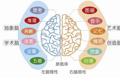 孩子为什么一定要学会大声朗读课文？