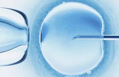 促排卵会加速卵巢衰竭？这是真的吗？