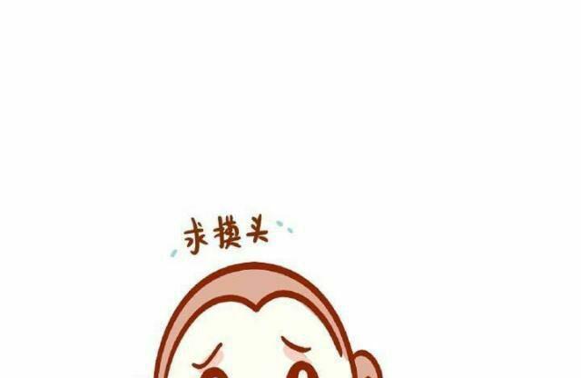 小猴的梦想的故事