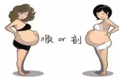 生孩子顺好还是剖好,？这7种不得不剖产的情况，你知道吗？