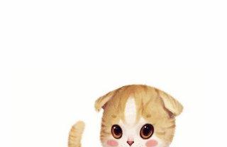 真猫咪和假猫咪的故事