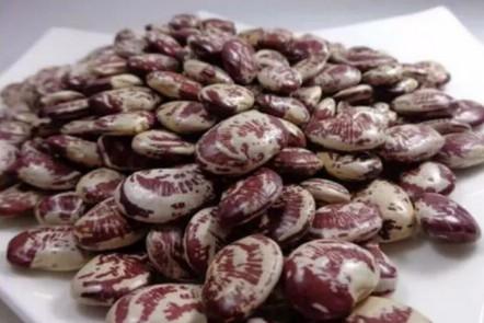 每天进步一点点，婴幼儿精细动作游戏（14-15月龄）