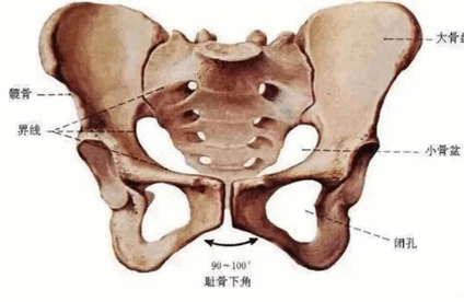 烦人的孕期耻骨疼痛，这6个小方法可舒缓！