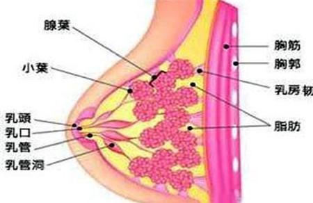 乳头内陷糜烂怎么治疗 这些方法来帮你