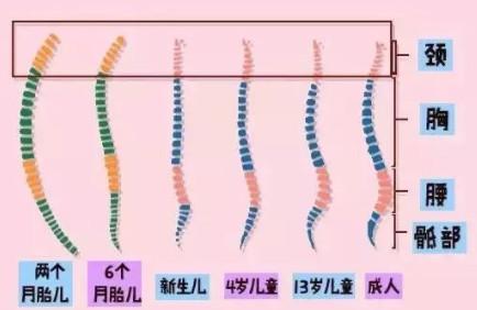 给宝宝用枕头，这些细节要注意了！