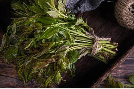 孕妇梦见虾是什么意思