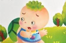 绿乌龟的梦想的故事