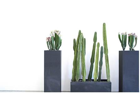 关于节约用水的作文200字