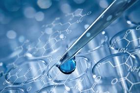 橘子怎么做好吃 人人都爱的橘子美味做法