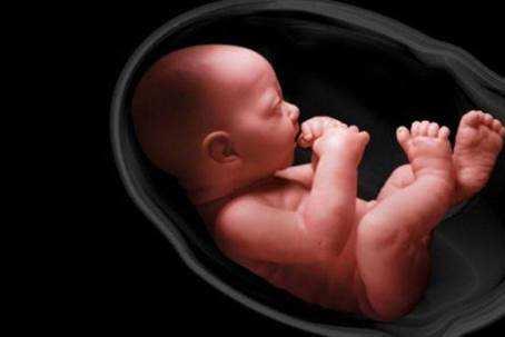 双顶径头围股骨长对照表 异常状态全揭晓