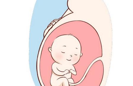 为什么孕早期需要筛查甲状腺疾病?