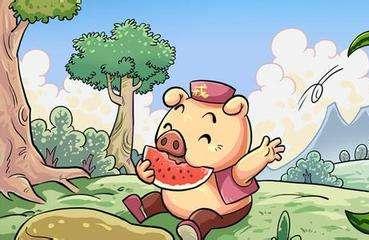 西瓜皮滑板车的故事