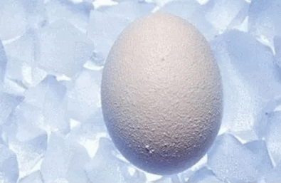 冻卵须知！想要培育优质好卵子，先从调理身体开始！