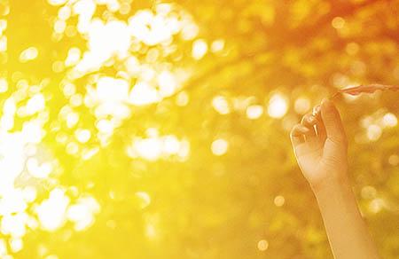 千万辣妈挚爱新希望乳业,优质乳关爱下一代