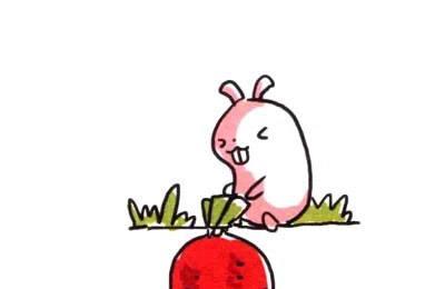 两只青蛙的故事