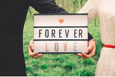 纽康特氨基酸奶粉怎么样